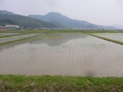 丹波の春 | 鉄骨住宅や工場・施設なら丹波市の工務店「栄伸建設」