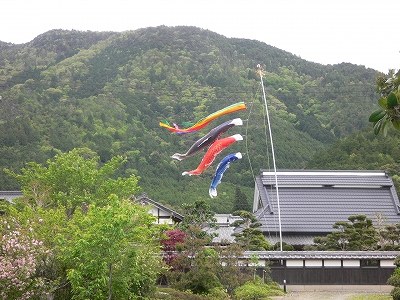 丹波の春 | 鉄骨住宅や工場・施設なら丹波市の工務店「栄伸建設」