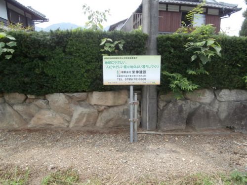 ひまわりの花が見頃です | 鉄骨住宅や工場・施設なら丹波市の工務店「栄伸建設」